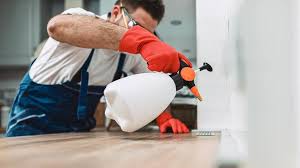 Emergency Pest Control Services in Island Walk, FL